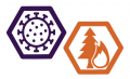 Disability and disaster resilience event banner